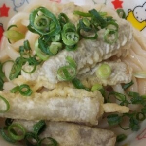 冷やしごぼう天うどん